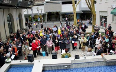 Suffrage Day celebrations