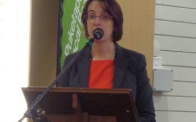Puketapapa Local Board Chair’s inaugural meeting address