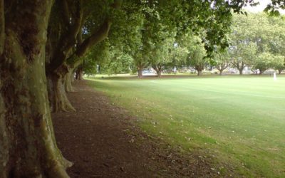 Keeping Victoria Park for the Public: Waitematā Local Board decide a new park events guideline