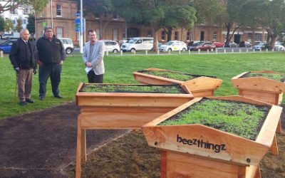 The Park – bees welcomed at Victoria Park