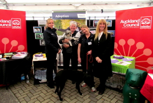 Cathy Casey with Auckland Council staff and shelter dogs at the National dog show
