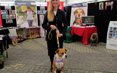 Don’t blame the dog – it’s up to us