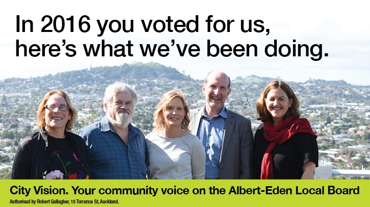 Accountability Report from the City Vision team on the Albert-Eden Local Board