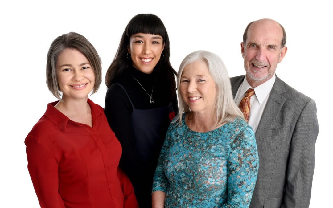 Introducing the City Vision team for the Albert Eden Local Board
