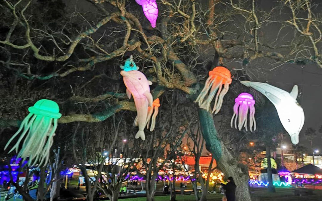 Lanterns in tree at Moon Fest