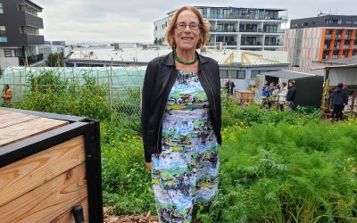 Glenda Fryer appointed to Waitematā Local Board