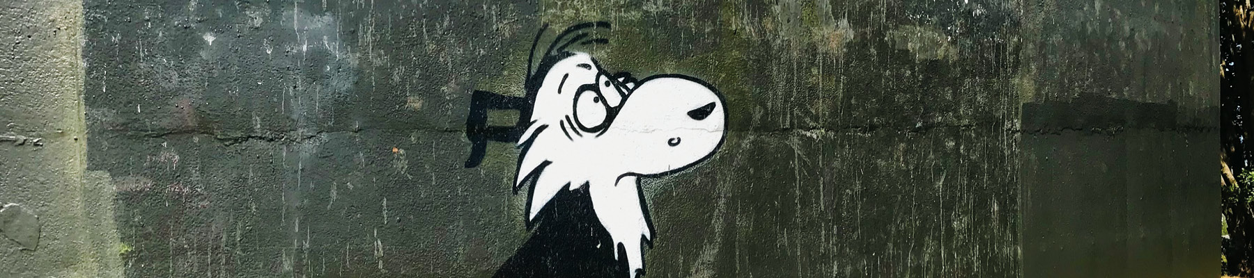Illustration of Dog on Mt Roskill