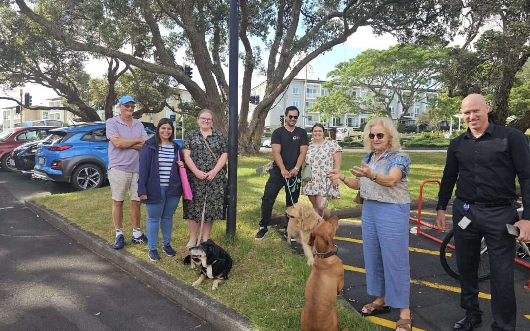 City Vision fights to keep much-loved dog off-leash area in Monte Cecilia Park
